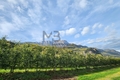 Aussicht Richtung Obst- und Weinreben und Eppan Berg - vista 